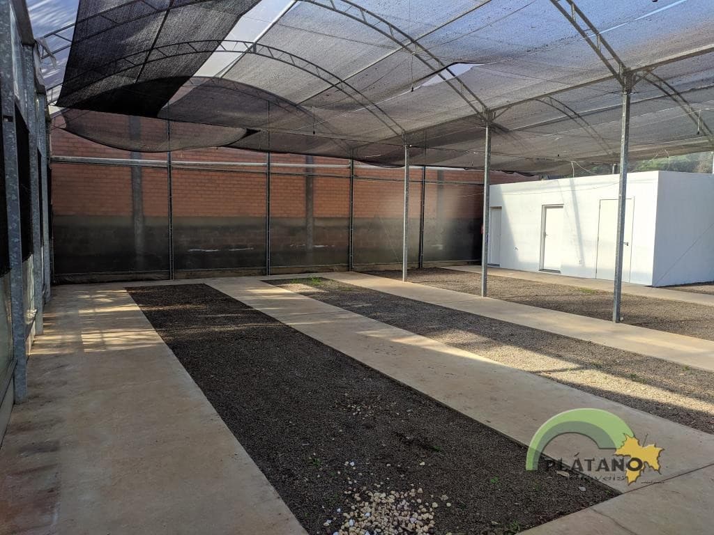 Loja / Sala para Locação no Cidade Nova em Ivoti - Imagem 2