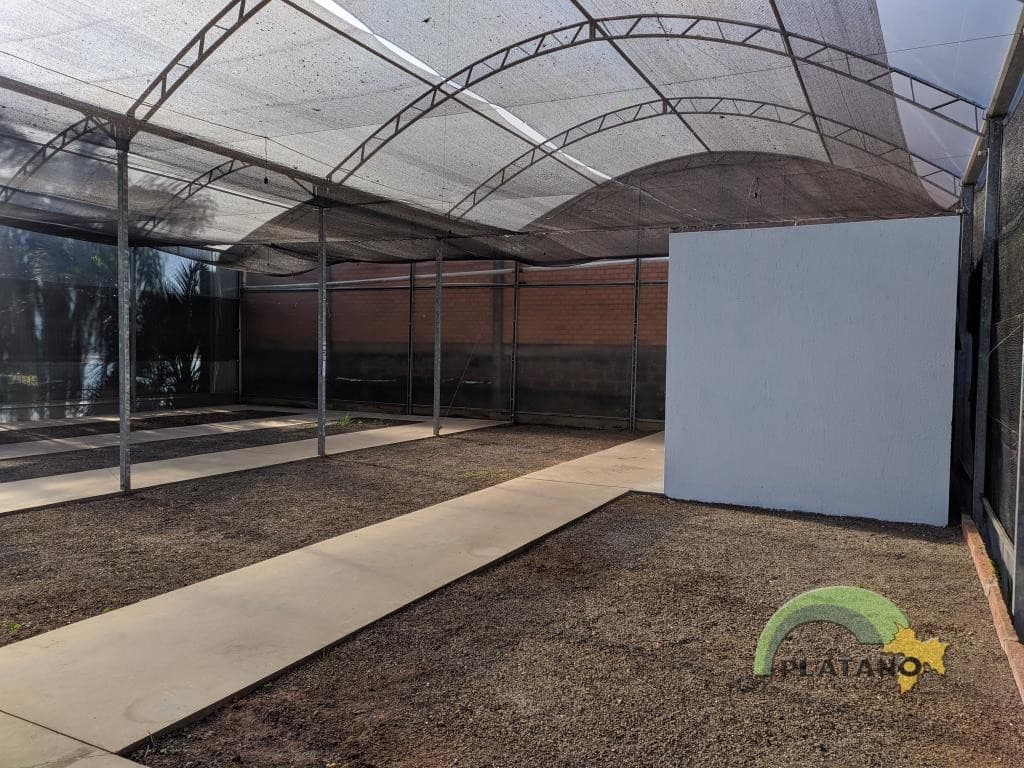 Loja / Sala para Locação no Cidade Nova em Ivoti - Imagem 5