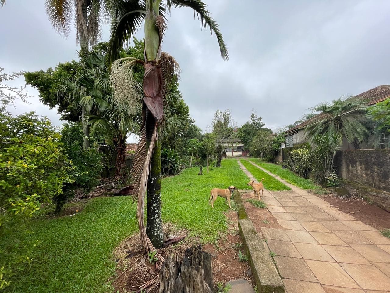 Imóvel no Brasilia, Ivoti - Imagem 2