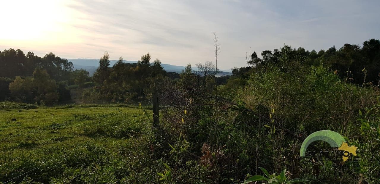 Imóvel no Campestre, São José do Hortêncio - Imagem 1