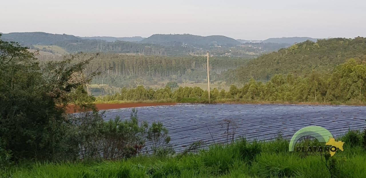 Imóvel no Campestre, São José do Hortêncio - Imagem 2