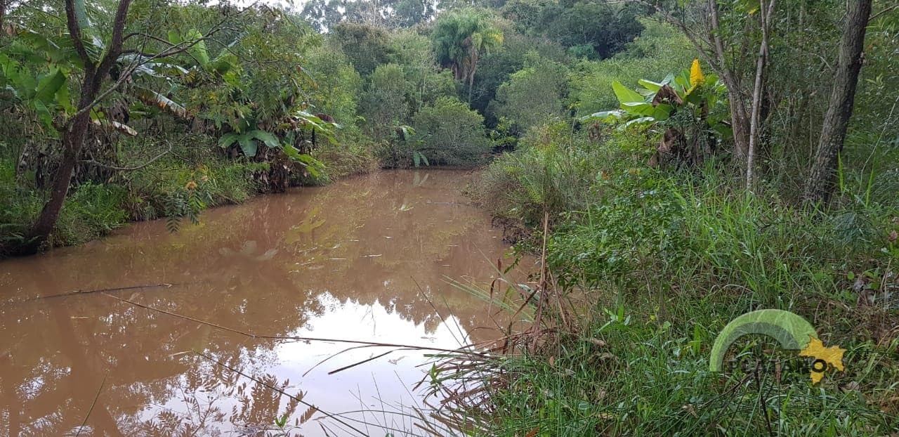 Imóvel no Campestre, São José do Hortêncio - Imagem 3