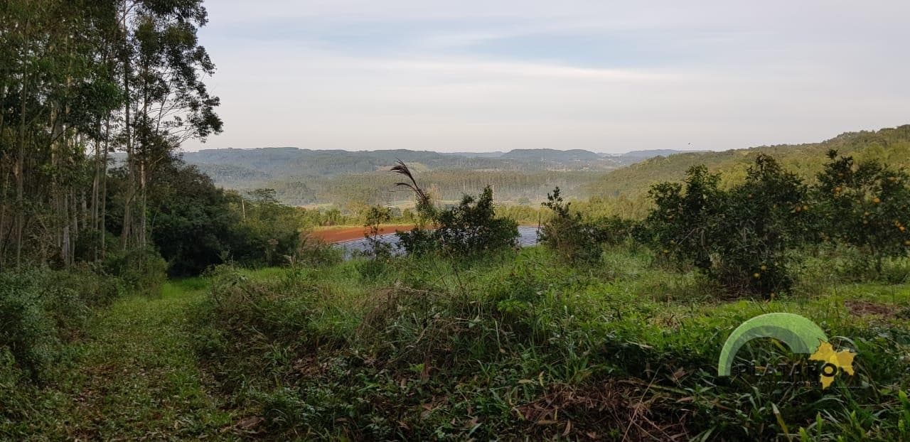 Imóvel no Campestre, São José do Hortêncio - Imagem 4