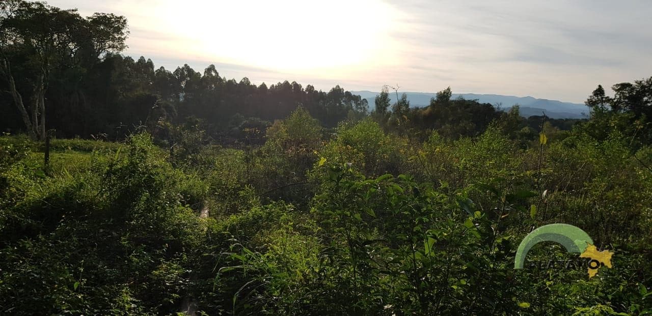 Imóvel no Campestre, São José do Hortêncio - Imagem 5