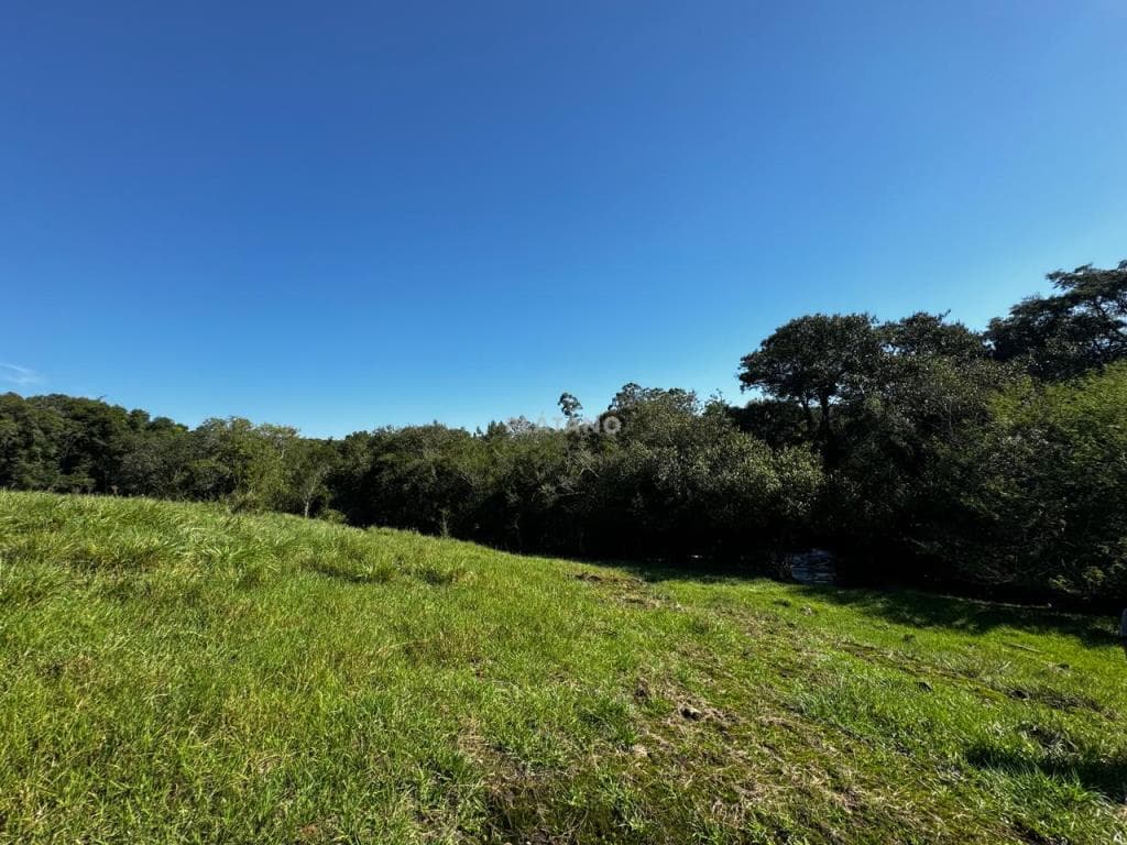 Imóvel no Nova Vila, Ivoti - Imagem 3