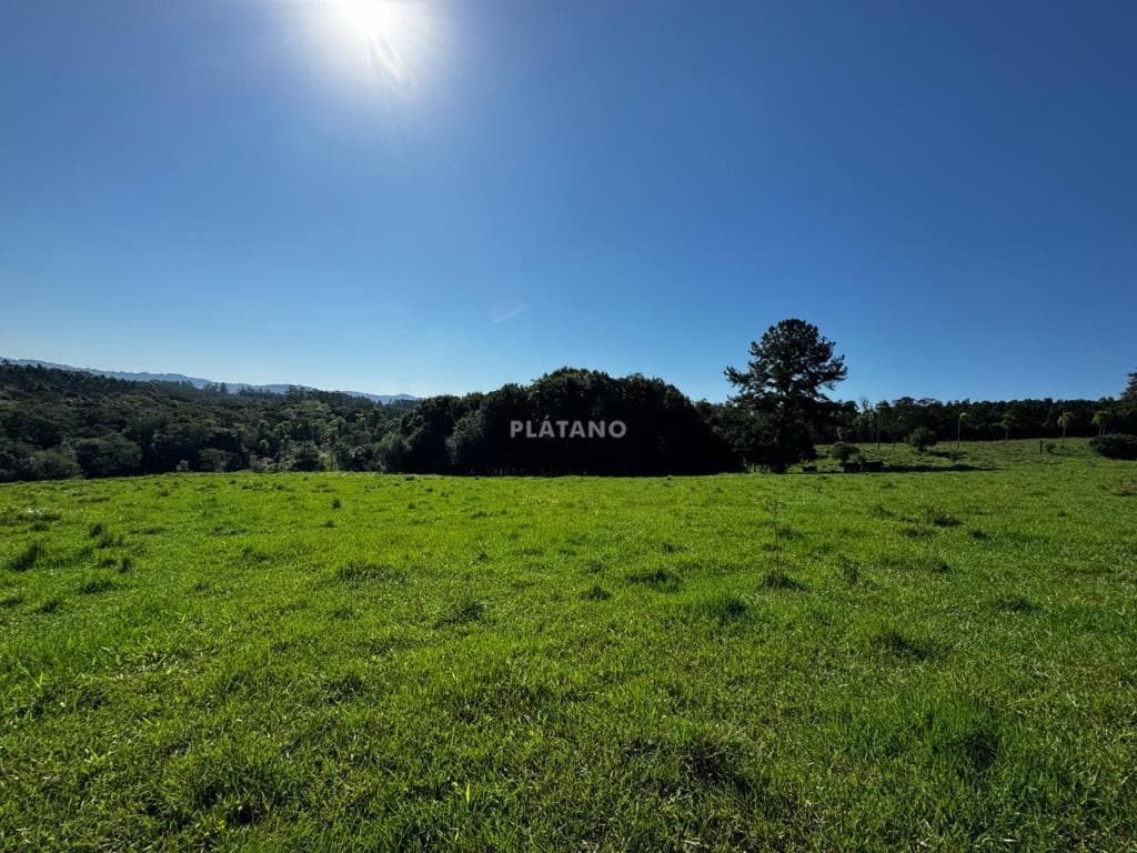 Imóvel no Nova Vila, Ivoti - Imagem 4