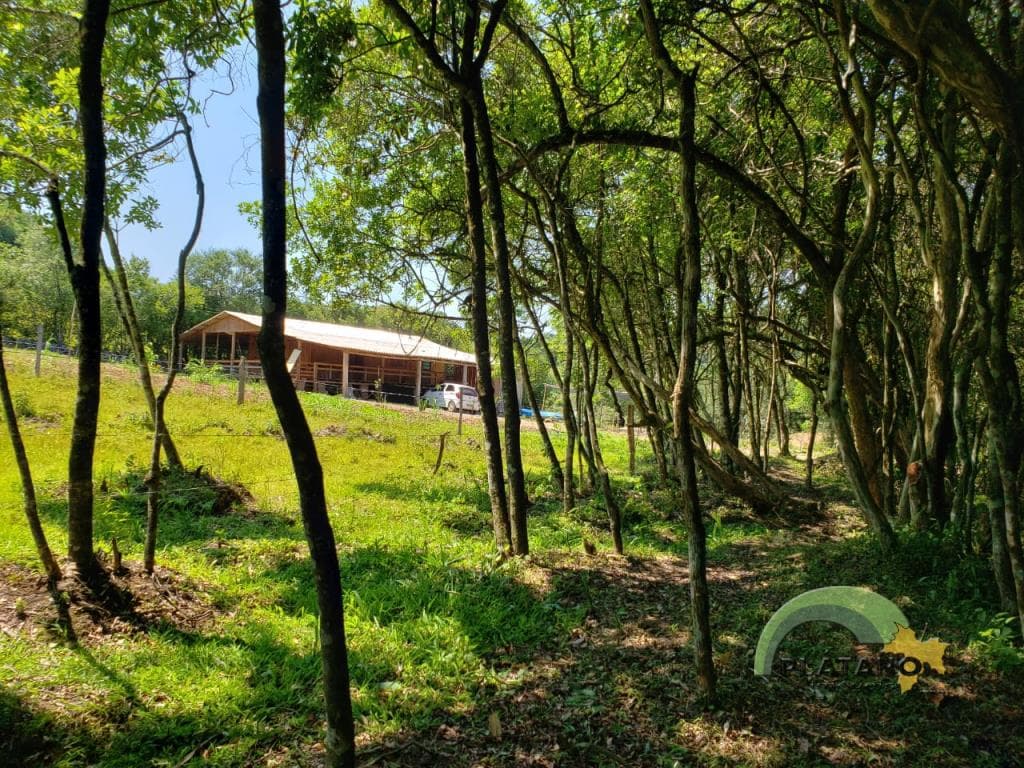 Imóvel com 2 quartos no Localidade de 48 baixa, Lindolfo Collor - Imagem 1