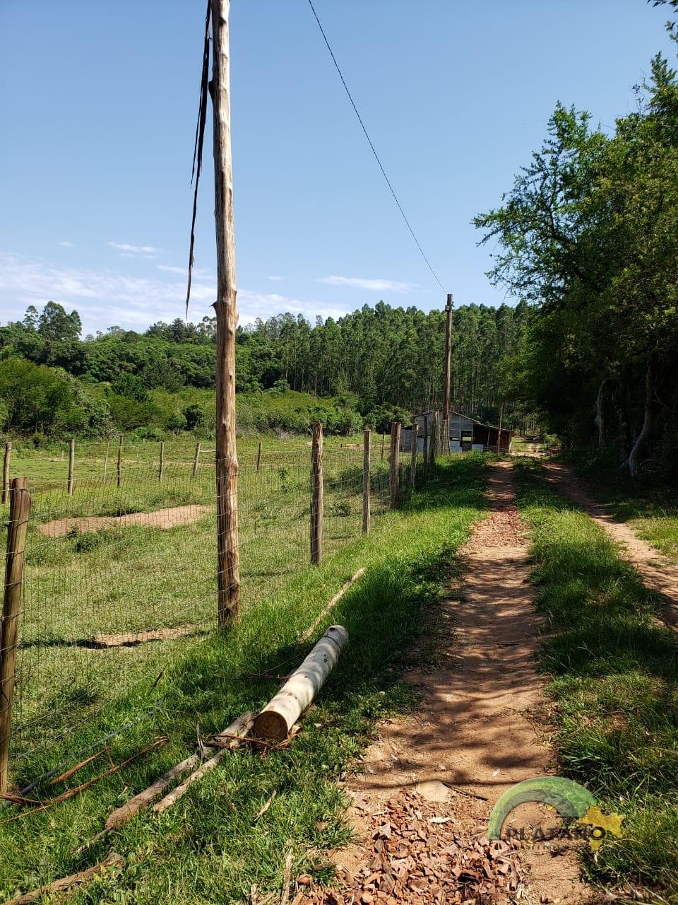 Imóvel com 2 quartos no Localidade de 48 baixa, Lindolfo Collor - Imagem 5