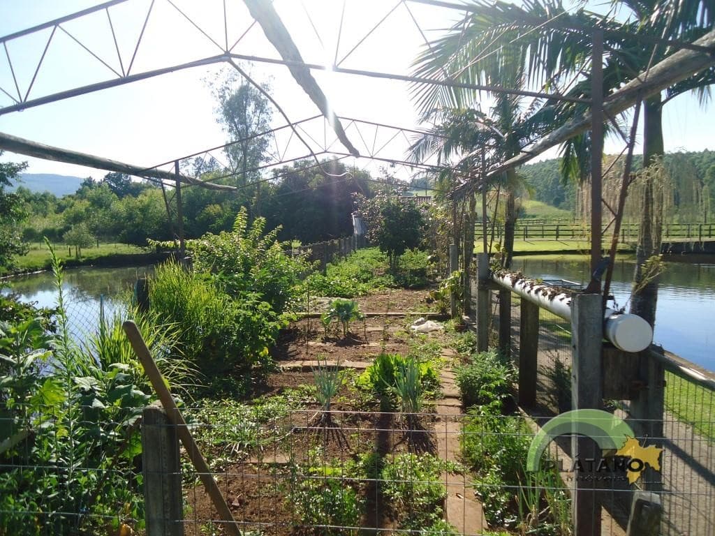 Imóvel com 3 quartos no Nova Vila, Ivoti - Imagem 3