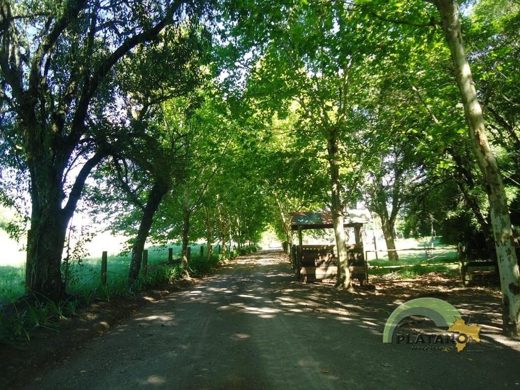 Imóvel com 3 quartos no Nova Vila, Ivoti - Imagem 2