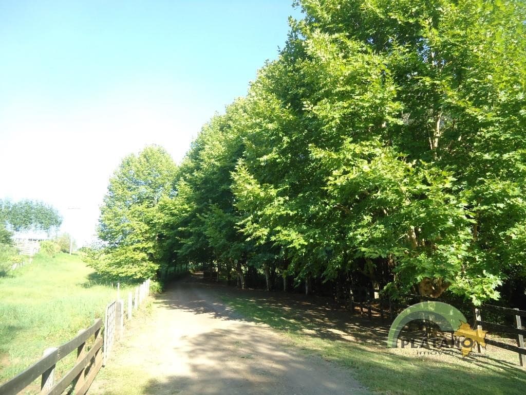 Imagem 13 do imóvel