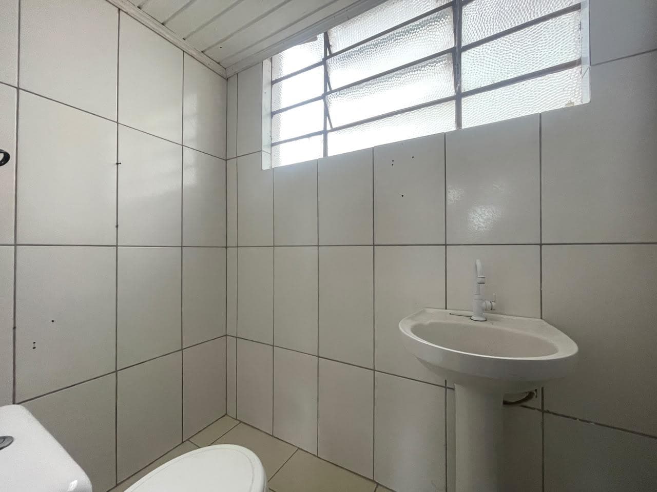 Próxima imagem