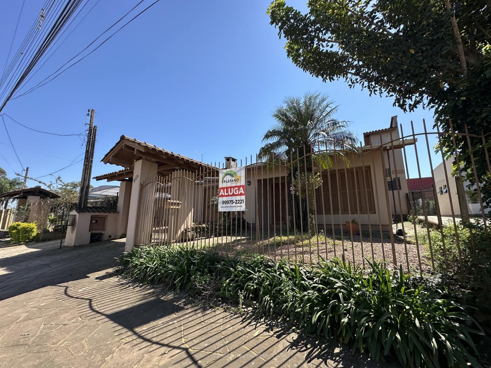Próxima imagem