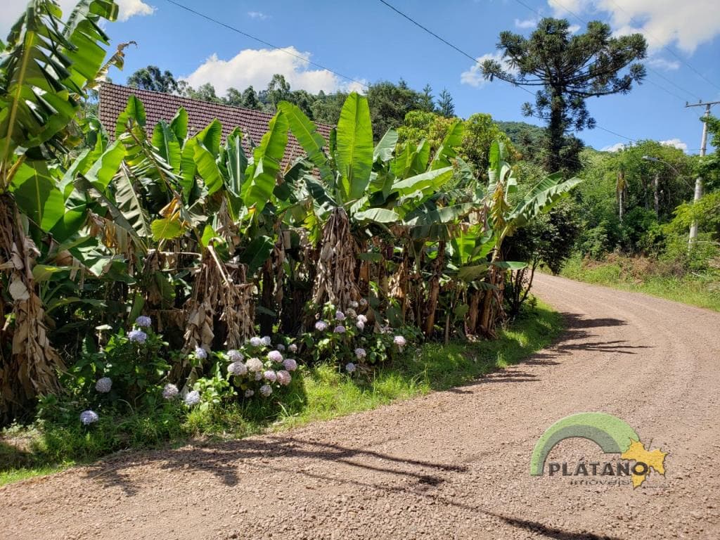 Imóvel no Picada Schneider, Presidente Lucena - Imagem 5