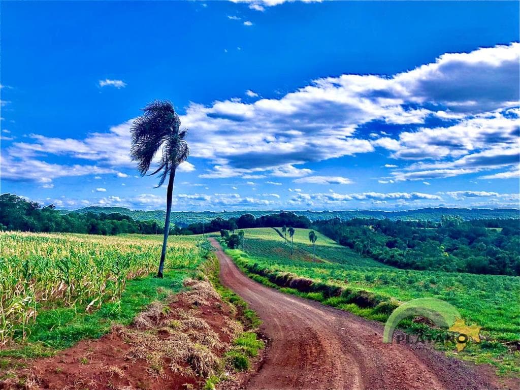 Imóvel no Localidade de 48 baixa, Lindolfo Collor - Imagem 2