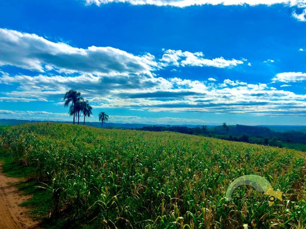 Imóvel no Localidade de 48 baixa, Lindolfo Collor - Imagem 4