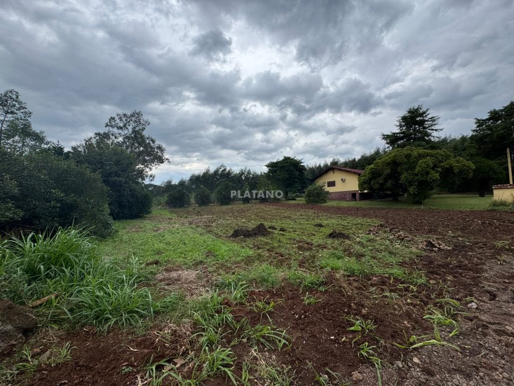 Imóvel no Nova Vila, Ivoti - Imagem 3