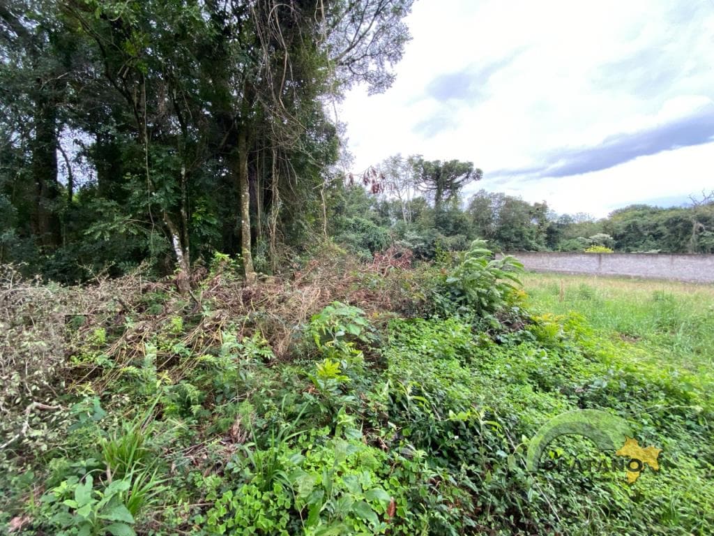 Imóvel no Sete de Setembro, Ivoti - Imagem 2