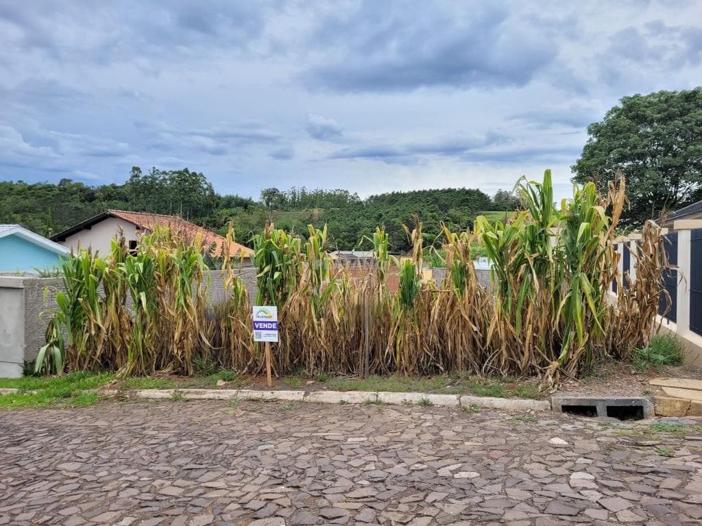 Imóvel no Palmares, Ivoti - Imagem 1