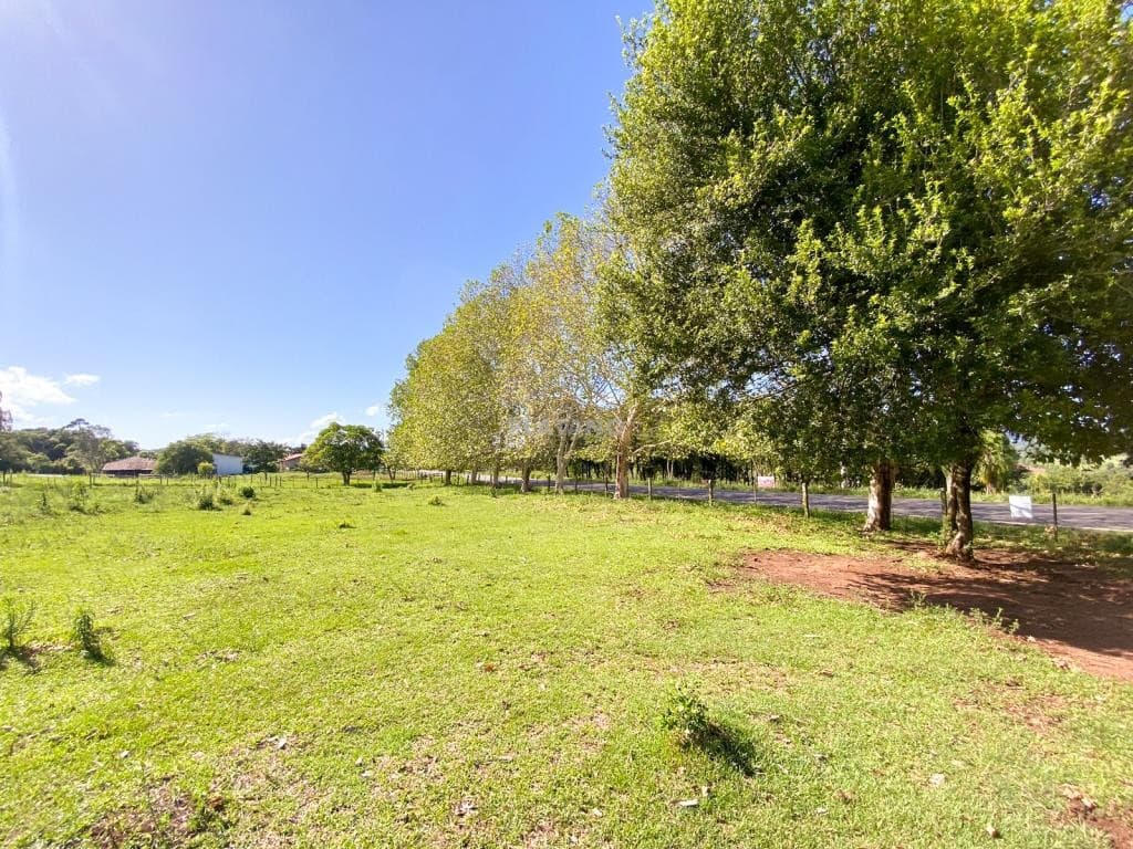 Imóvel com 2 quartos no Nova Vila, Ivoti - Imagem 3