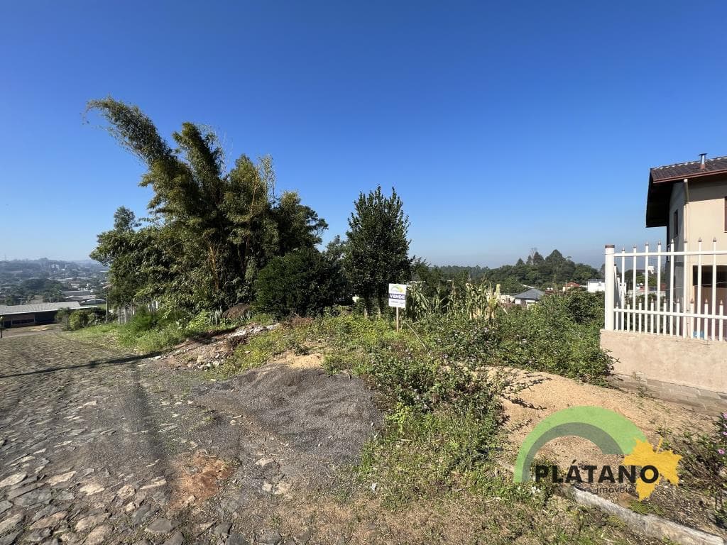 TERRENO, 590M² ÁREA TOTAL À VENDA - Imagem 3