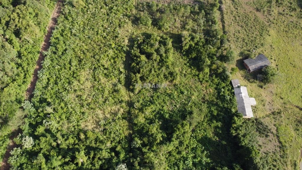 Imóvel no Picada 48 Alta, Ivoti - Imagem 4