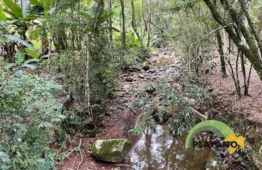 Imagem 43 do imóvel