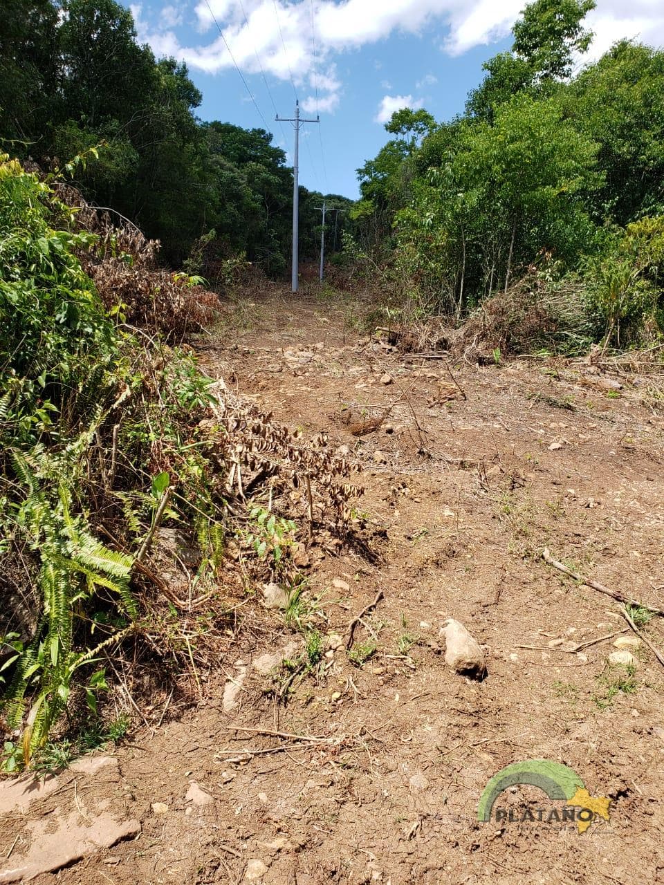 Imóvel no Picada Schneider, Presidente Lucena - Imagem 4