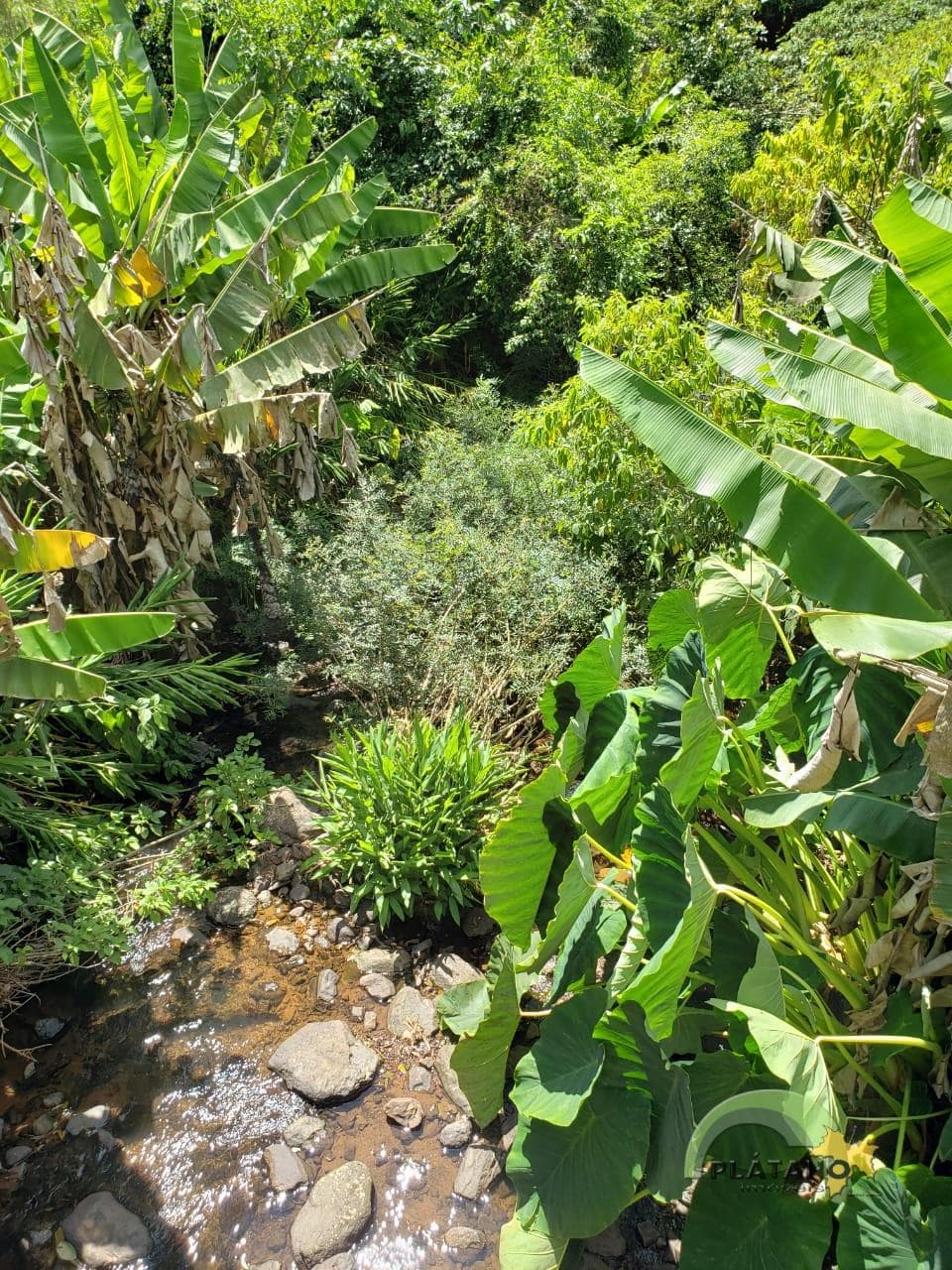Imóvel no Picada Schneider, Presidente Lucena - Imagem 4