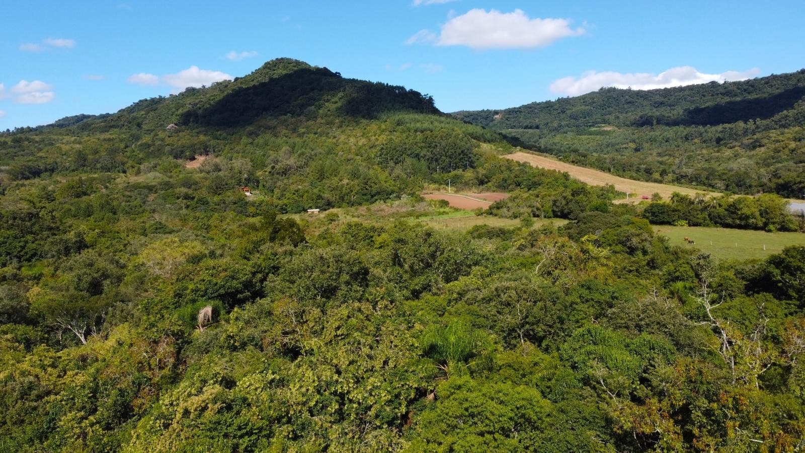 Imagem 11 do imóvel