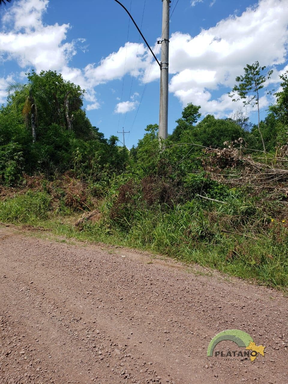 Imóvel no Picada Schneider, Presidente Lucena - Imagem 2