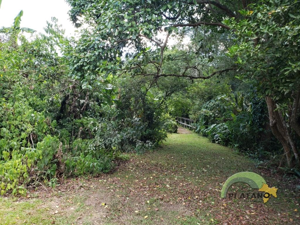 Imóvel no Picada Schneider, Presidente Lucena - Imagem 1