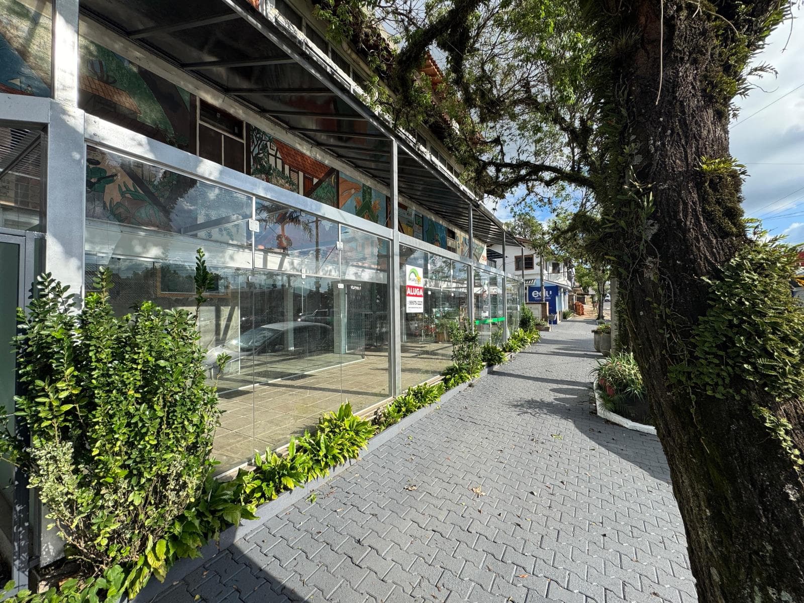 Imóvel no Sete de Setembro, Ivoti - Imagem 1