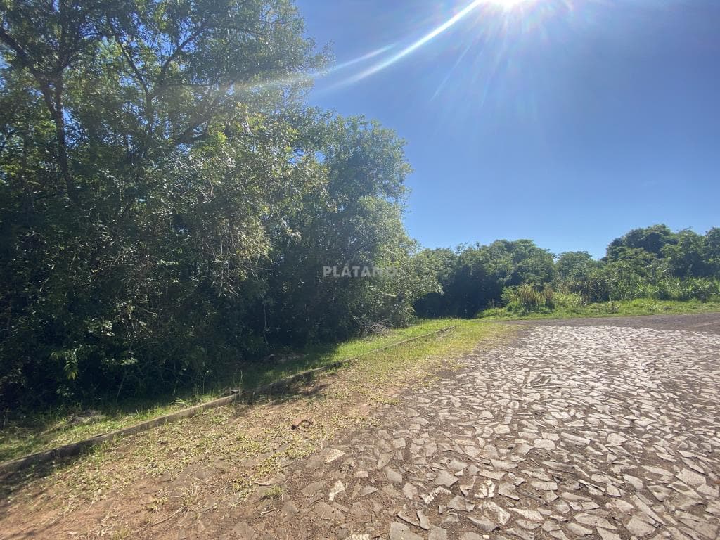 Terreno para Venda no Jardim do Alto em Ivoti - Imagem 1