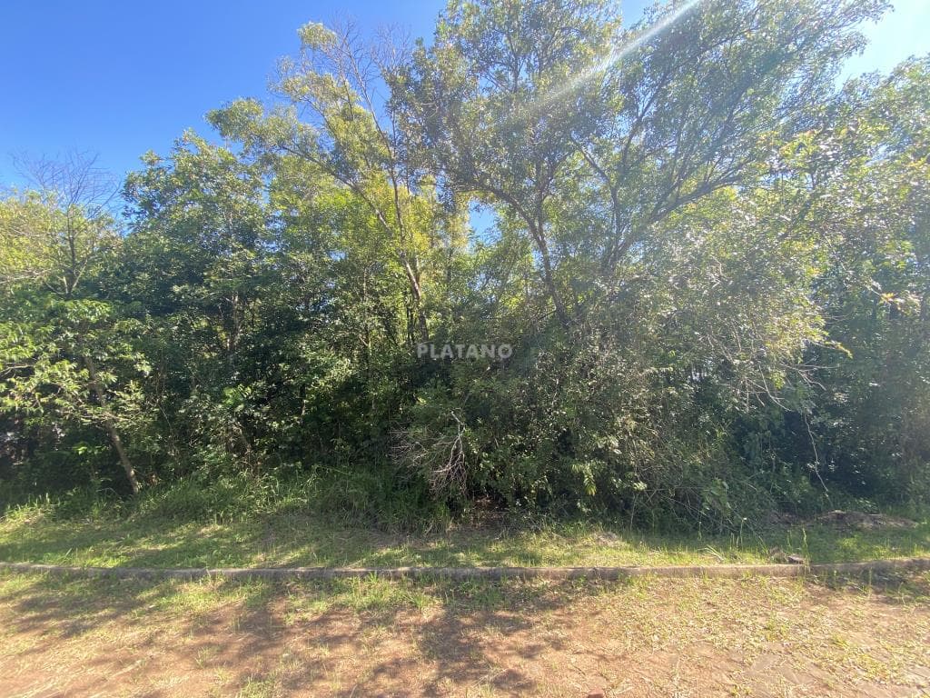 Terreno para Venda no Jardim do Alto em Ivoti - Imagem 2