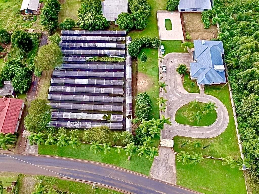 Imóvel com 3 quartos no Picada 48 Alta, Ivoti - Imagem 3