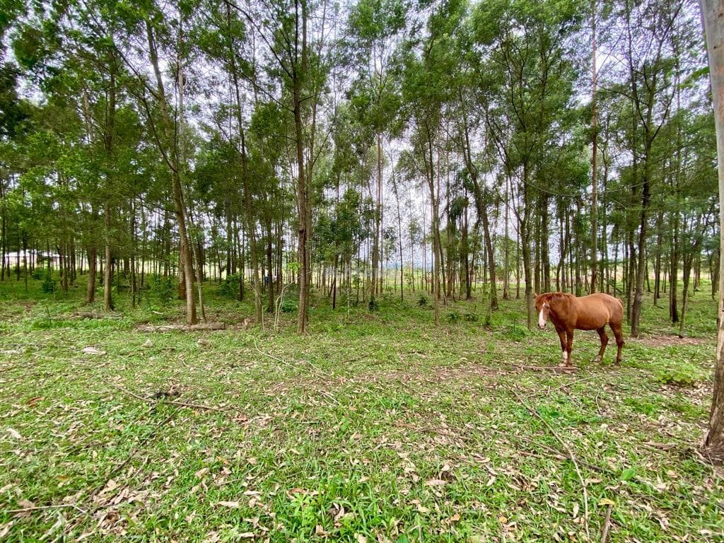 Imagem 17 do imóvel