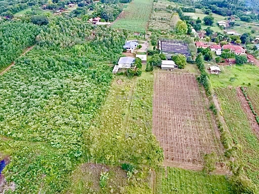 Imóvel com 2 quartos no Picada 48 Alta, Ivoti - Imagem 4