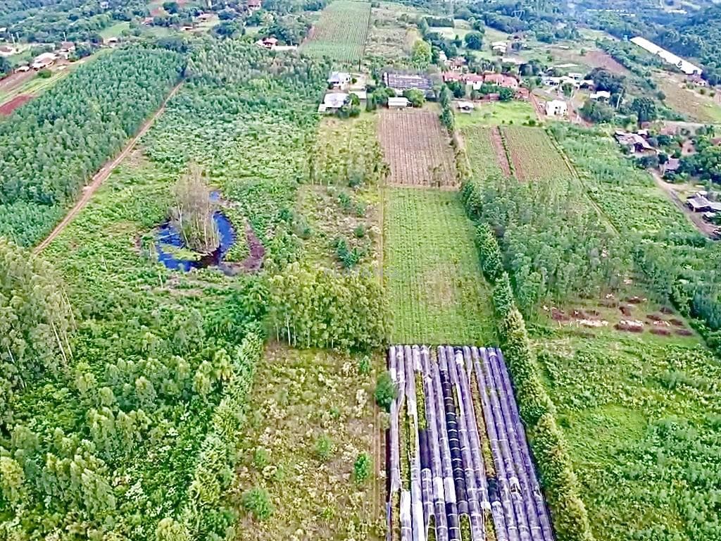 Imóvel com 2 quartos no Picada 48 Alta, Ivoti - Imagem 5