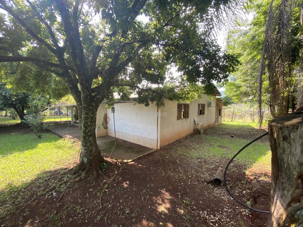 Imóvel com 2 quartos no Picada 48 Alta, Ivoti - Imagem 2