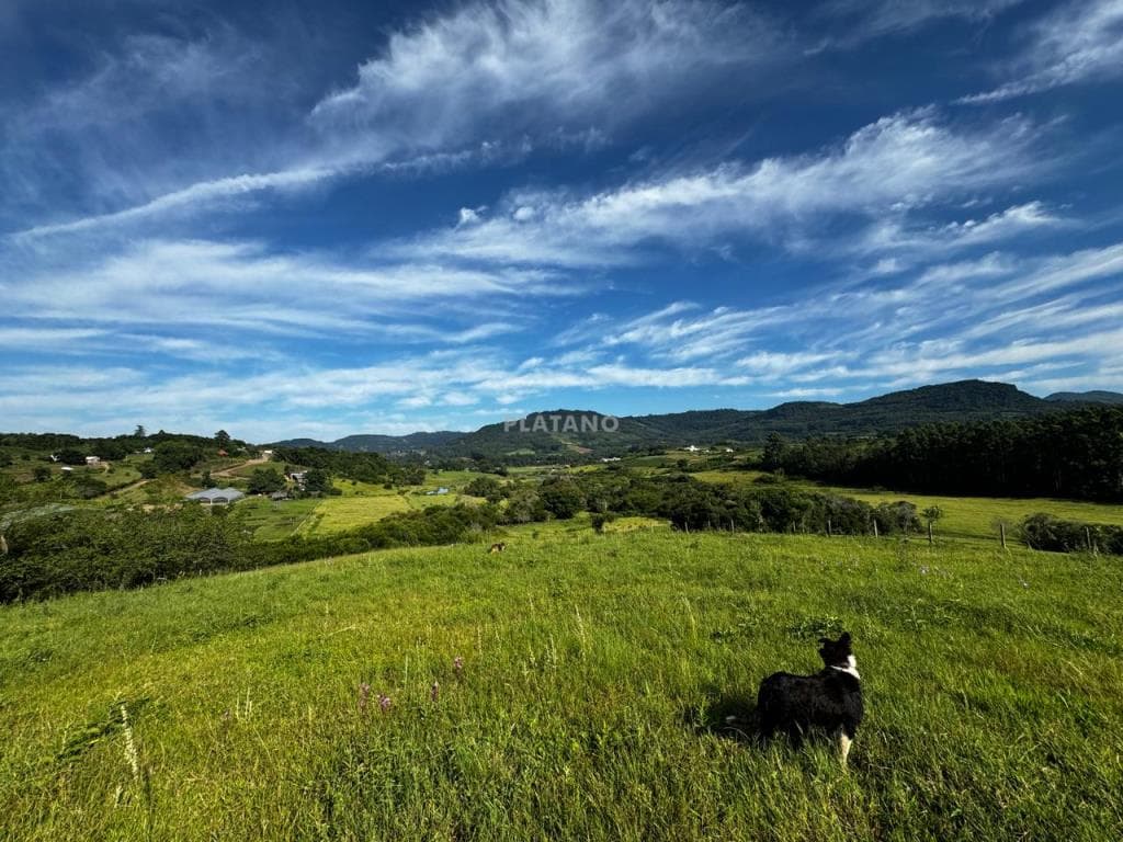 Chácara / Sítio para Venda no Centro em Presidente Lucena - Imagem 1