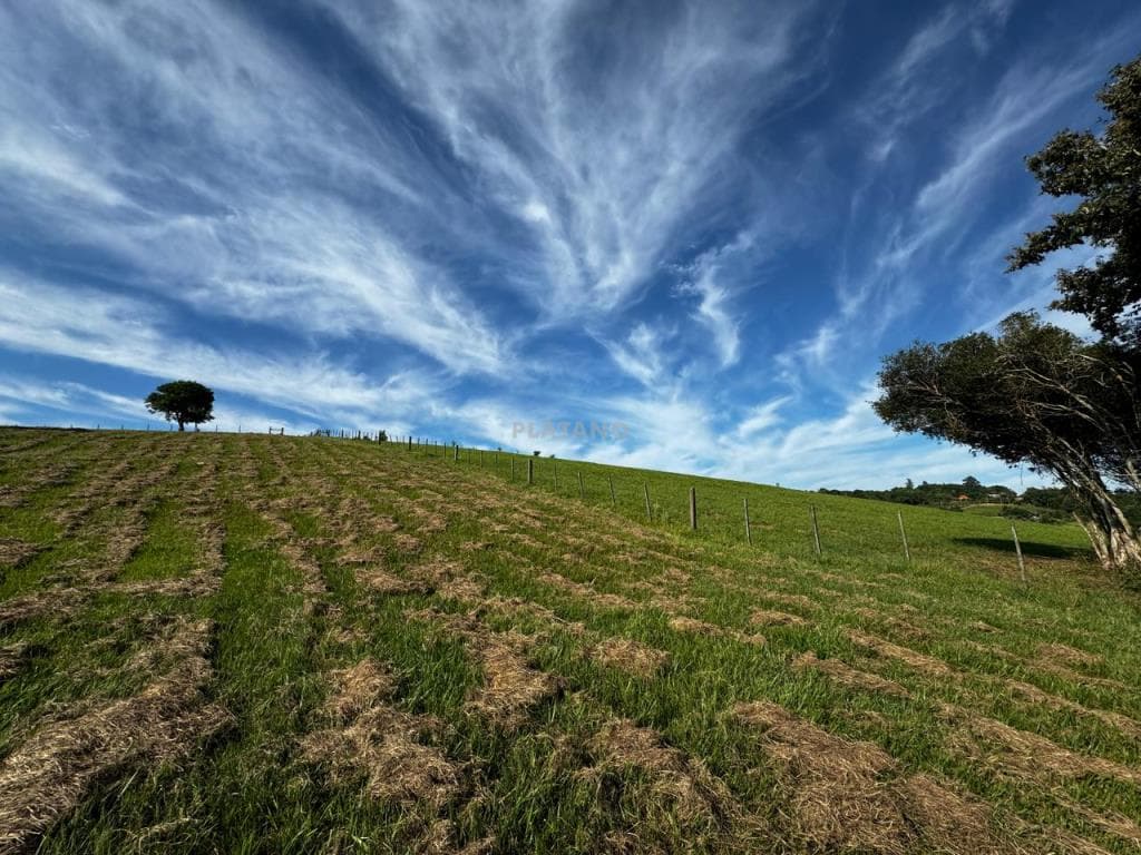 Chácara / Sítio para Venda no Centro em Presidente Lucena - Imagem 2
