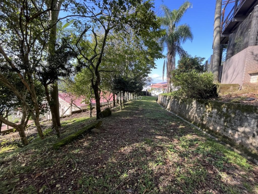 Imóvel no Travessão, Dois Irmãos - Imagem 2