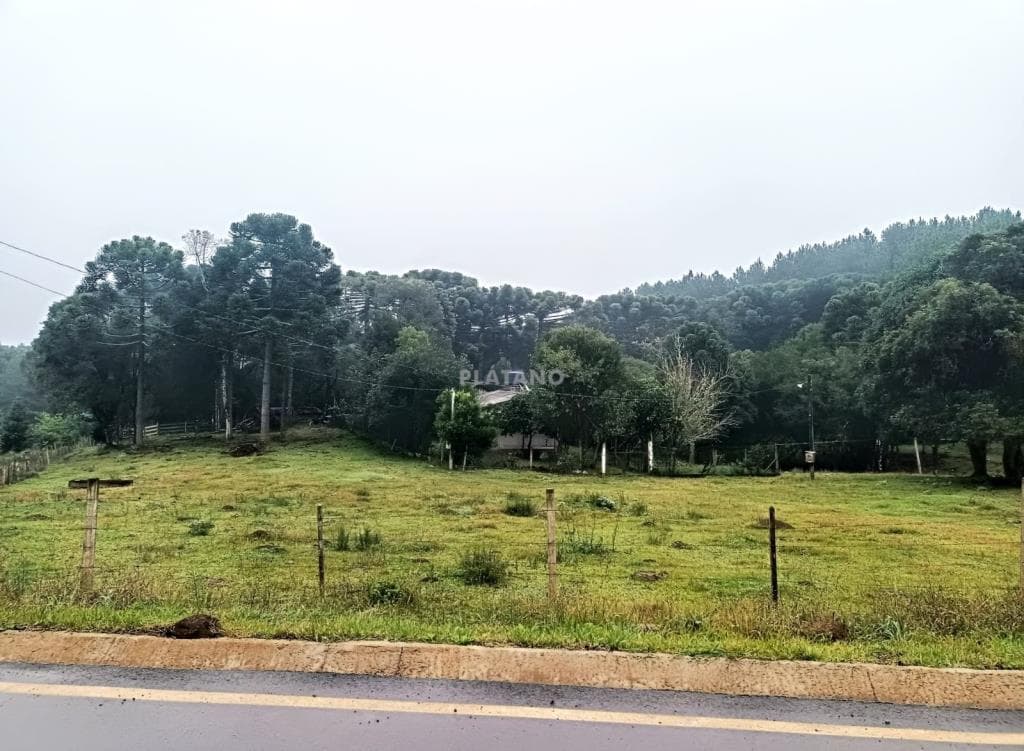 Imóvel no Área Rural de Canela, Canela - Imagem 1