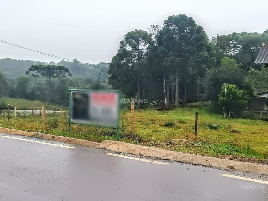 Imagem anterior