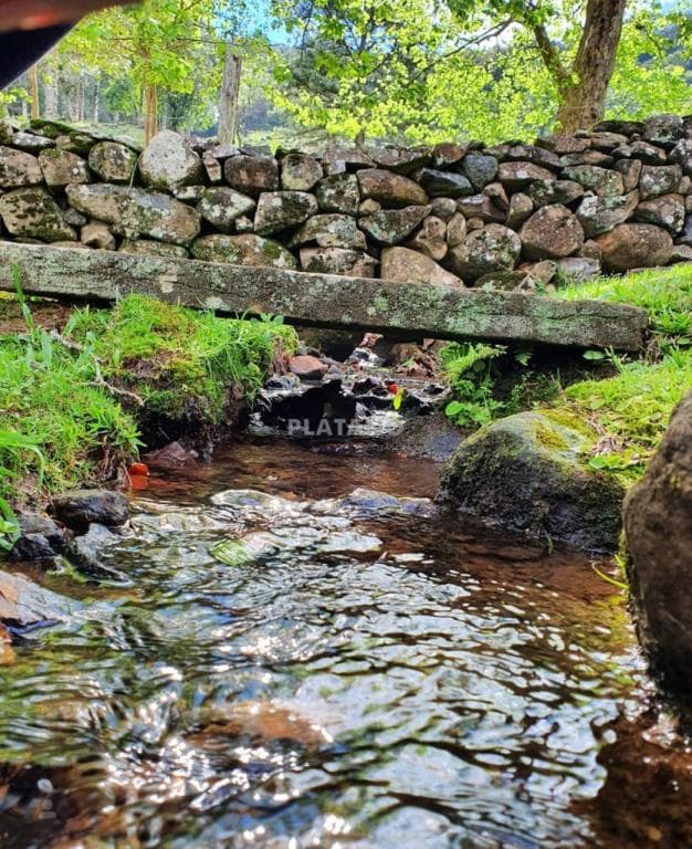 Imóvel com 4 quartos no Centro, São Francisco de Paula - Imagem 1
