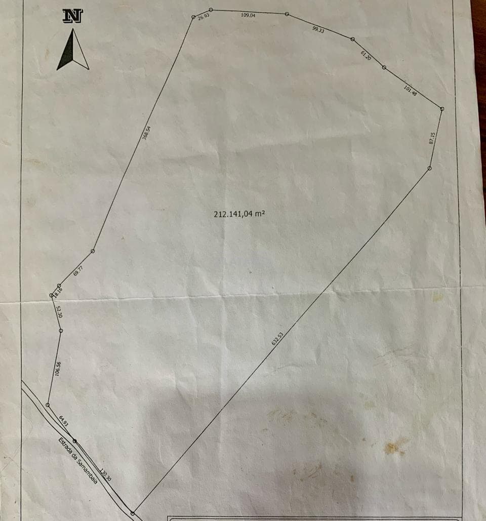 Imóvel com 4 quartos no Centro, São Francisco de Paula - Imagem 3