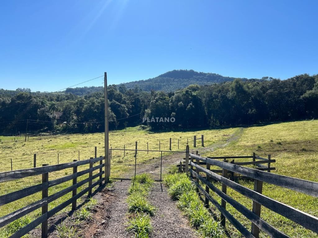 Imóvel com 4 quartos no Picada 48 Alta, Ivoti - Imagem 2