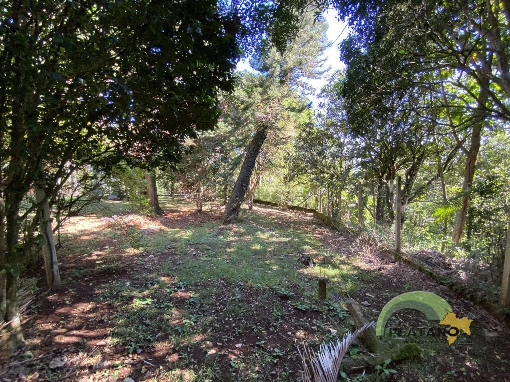 Terreno para Venda no Travessão em Dois Irmãos - Imagem 4