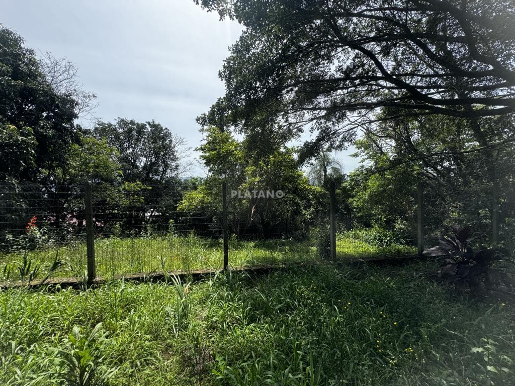 Terreno para Venda no Travessão em Dois Irmãos - Imagem 2